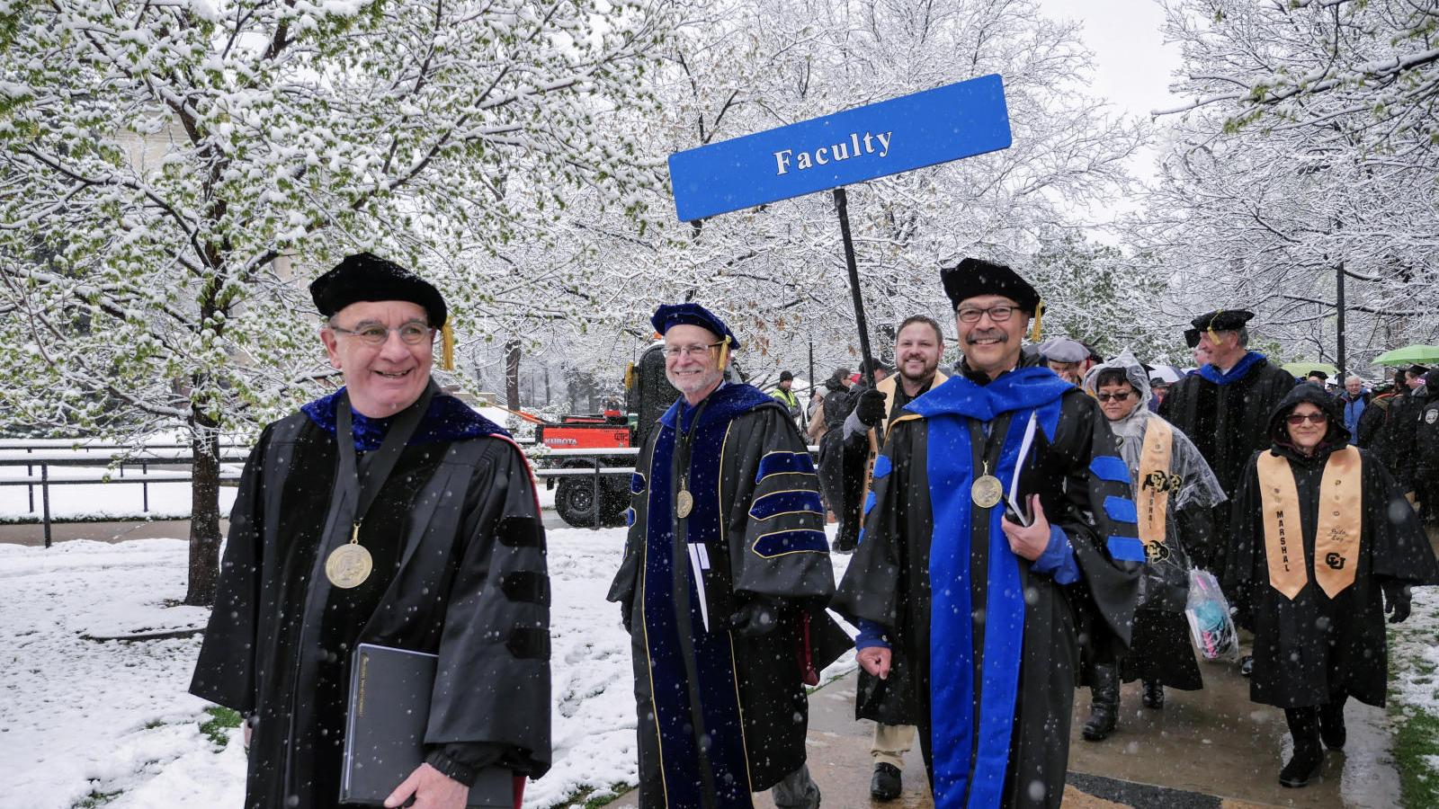 Faculty at commencement 