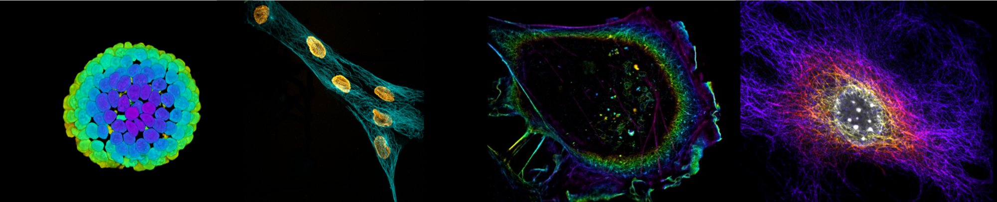 BioFrontiers Advanced Light Microscopy Core