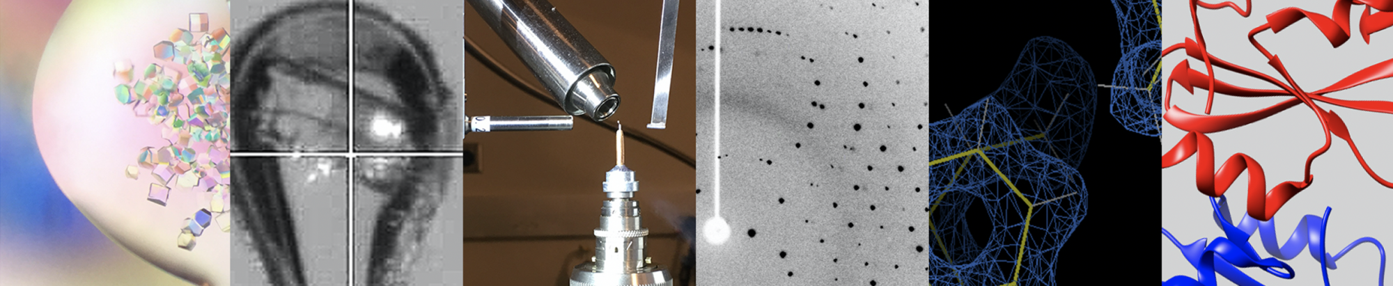 Macromolecular X-ray Crystallography Core