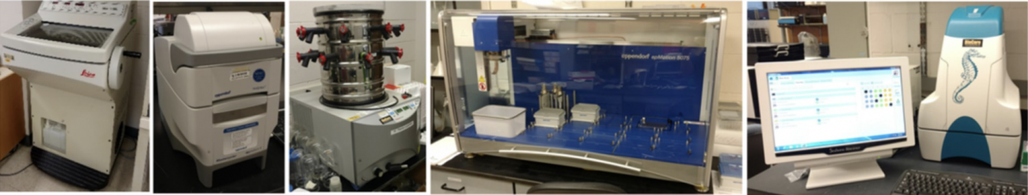 BioCore: Shared Equipment Program (RRID:SCR_019302)