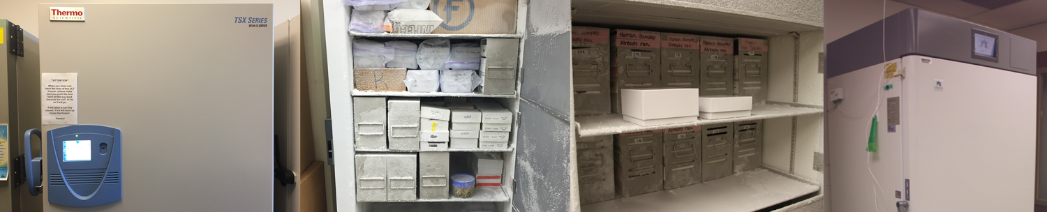 Green Labs Shared Ultra-Low Temperature Freezers (RRID:SCR_018989)
