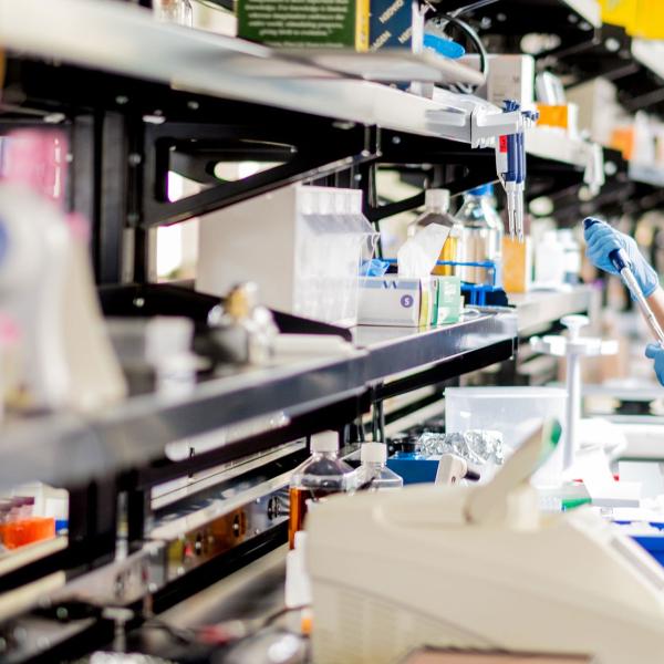 Researcher in Inscripta Lab