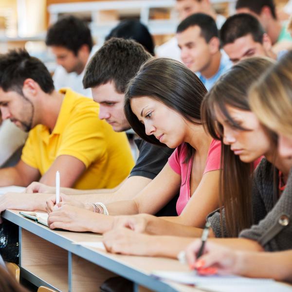 Students in class