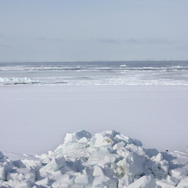 Person standing in the arctic