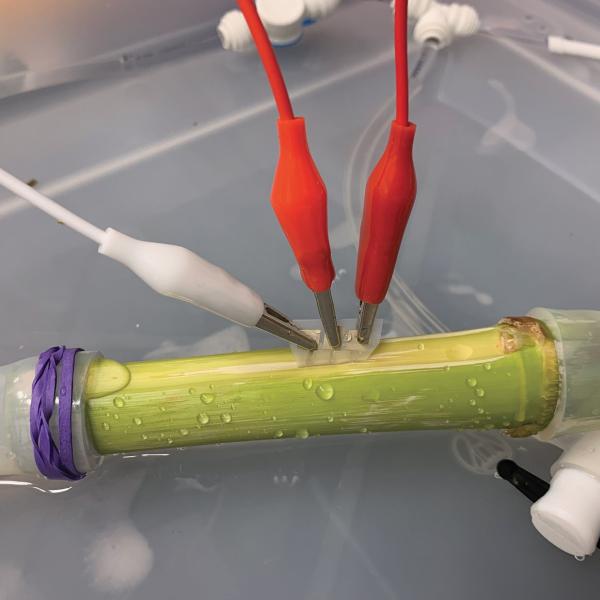 Soil sensor