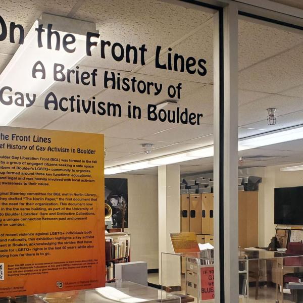 LGBTQ+ activism Libraries collection