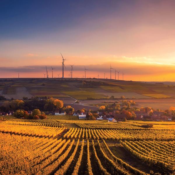 Agricultural landscape and windfarm at sunset