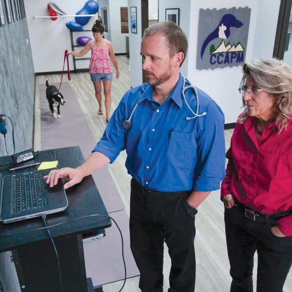 Vet and researcher with dog and owner walking in background