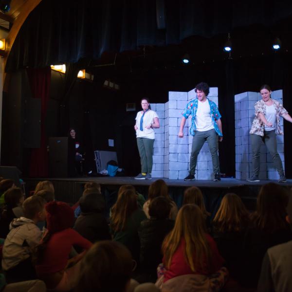 Twelfth Night performance and audience