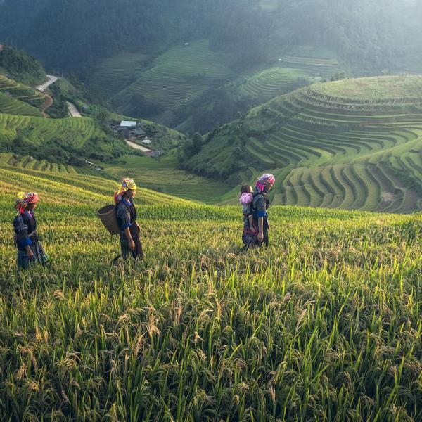 Farmers walking across field