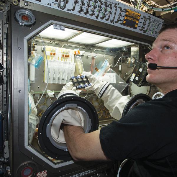 NASA astronaut Terry Virts manipulating a BioServe experiment on ISS. 