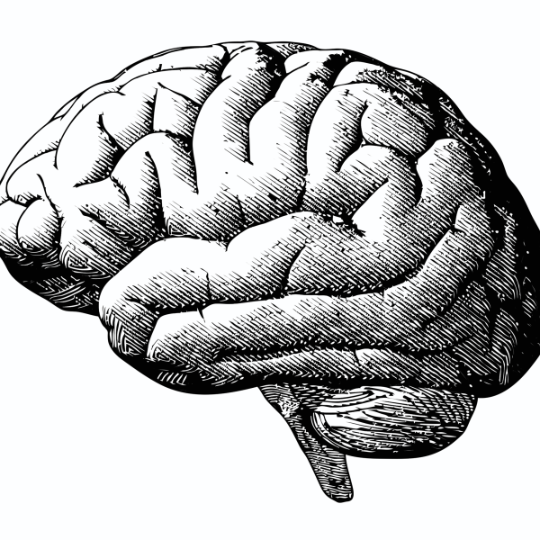 Brain graphic
