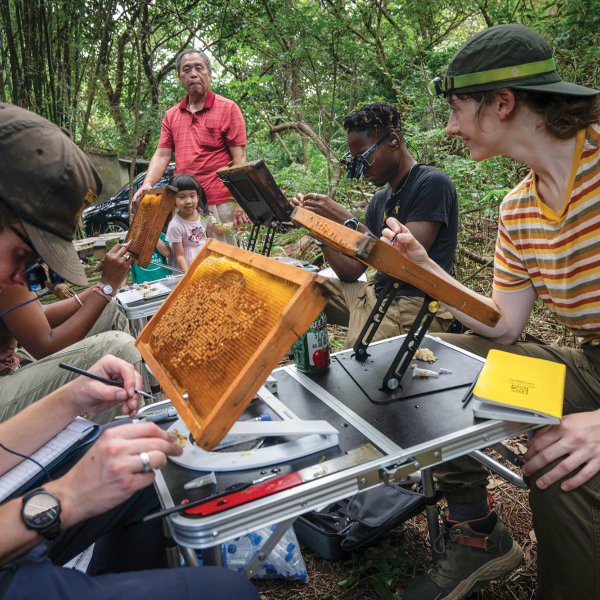 Researchers with the Honey Bee-nome Project in the field
