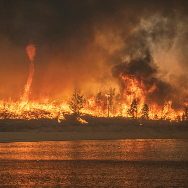 A fire whirl forms during the fast-moving East Troublesome Fire in 2020