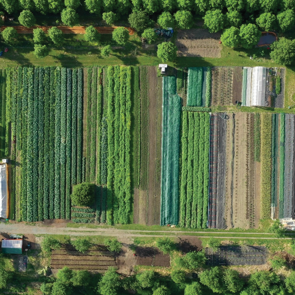 Aerial view of farm with crop diversification