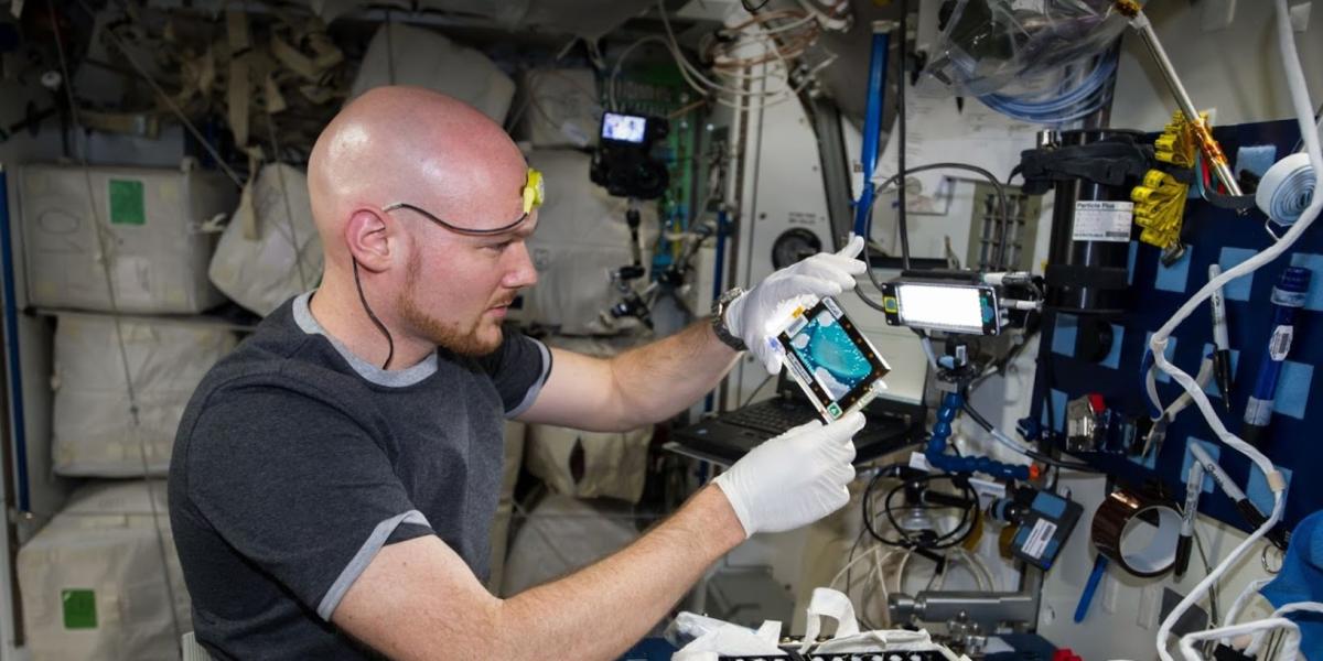 Person working in lab