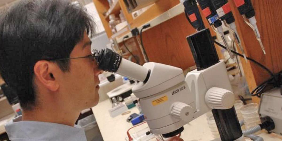 Researcher at Institute for Behavioral Genetics (IBG)