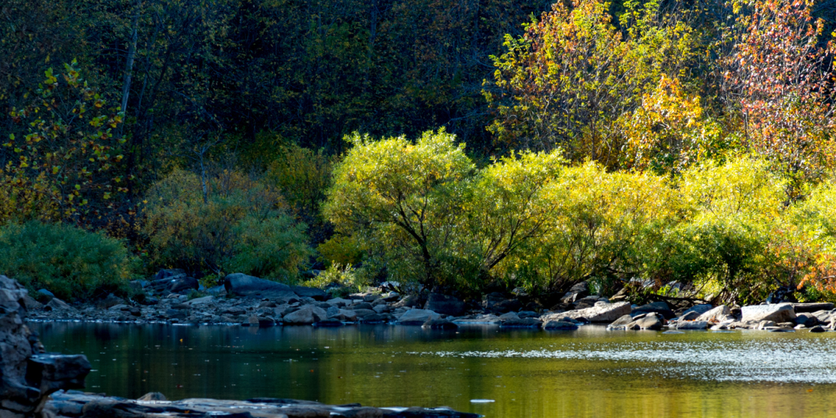 River in Colorado