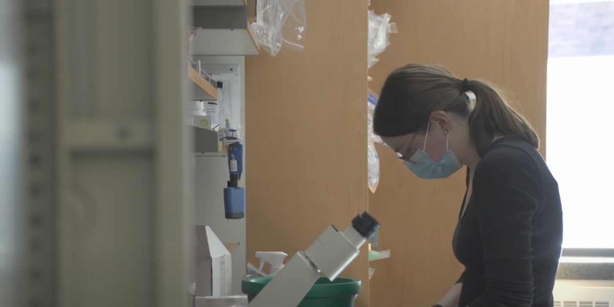 Joints that could heal themselves? Researchers could get there in 5 years