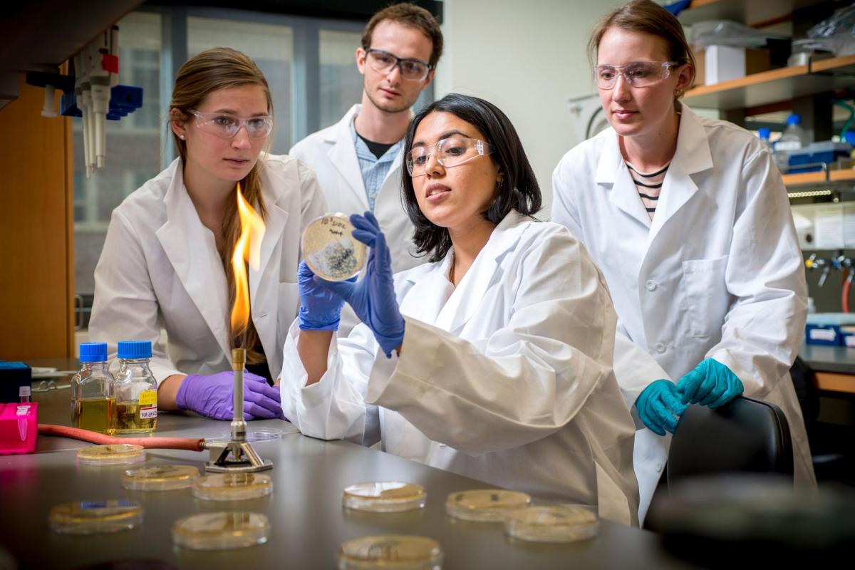 Students doing research in ChemBio lab