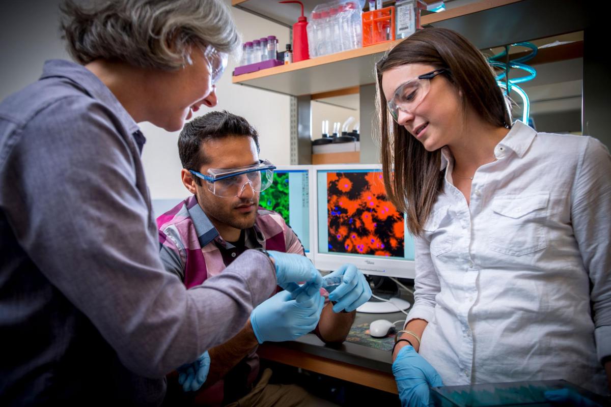 Professor and students in lab