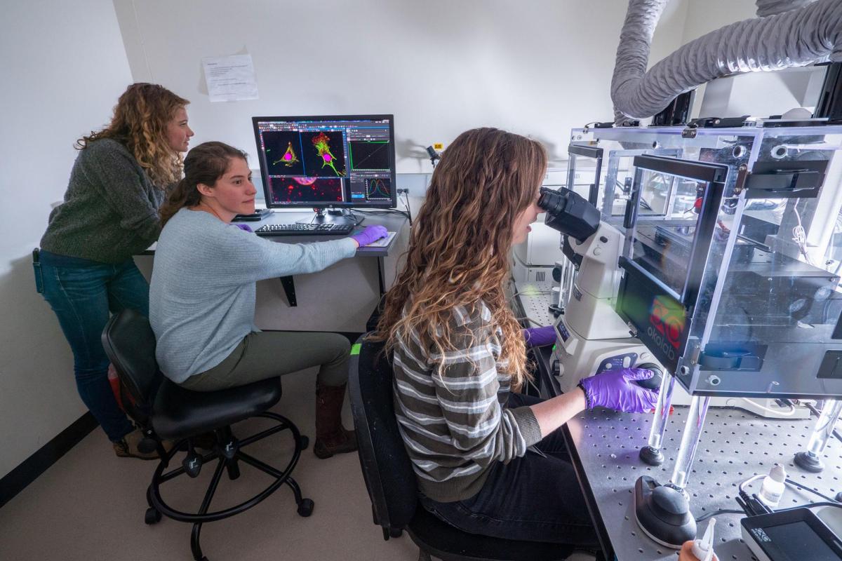 Students doing research in lab