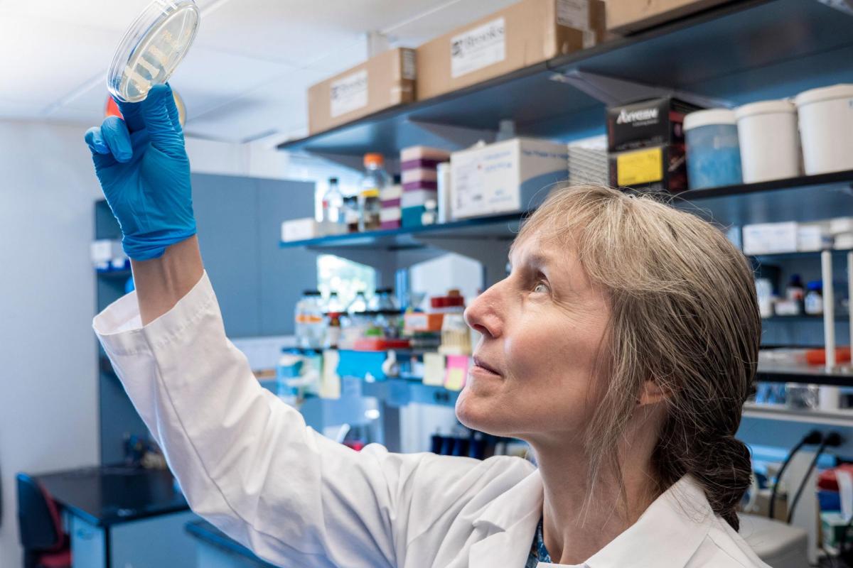 Professor looking at research in lab