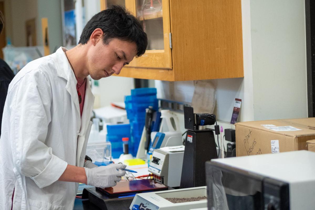 Researcher conducting research in lab