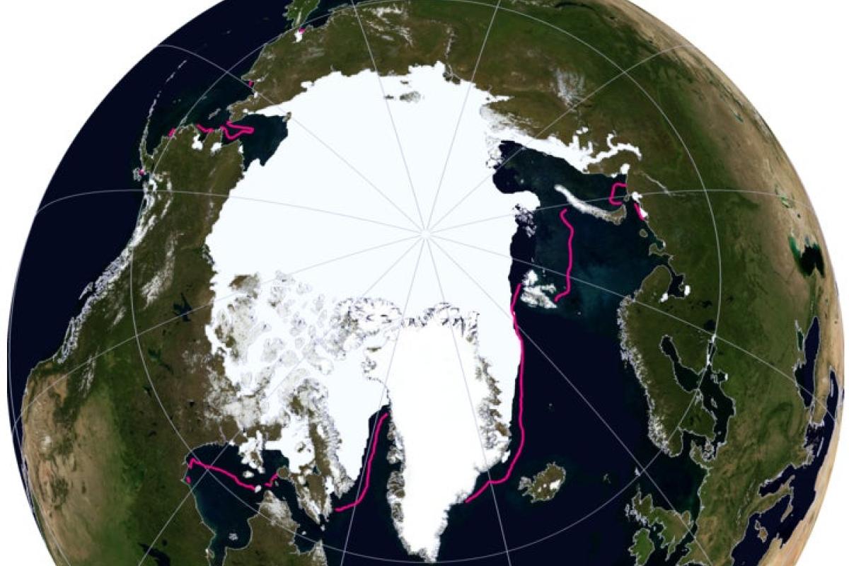 Arctic sea ice on globe