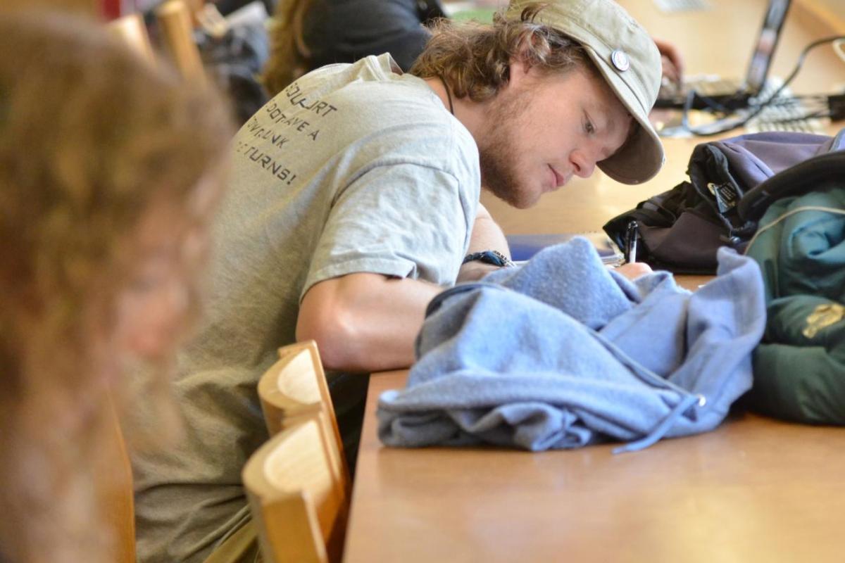 Students in library studying
