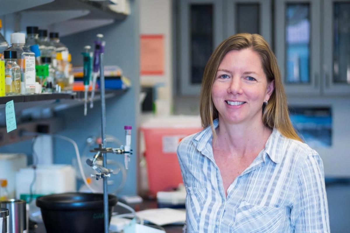 Researcher in lab