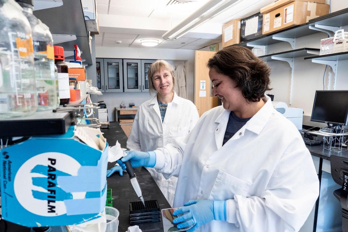 Researchers in lab