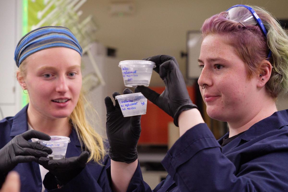 Students working in lab