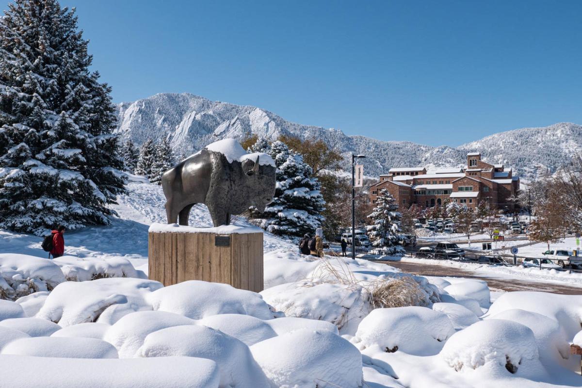 Buffalo sculpture on campus on a snowy day