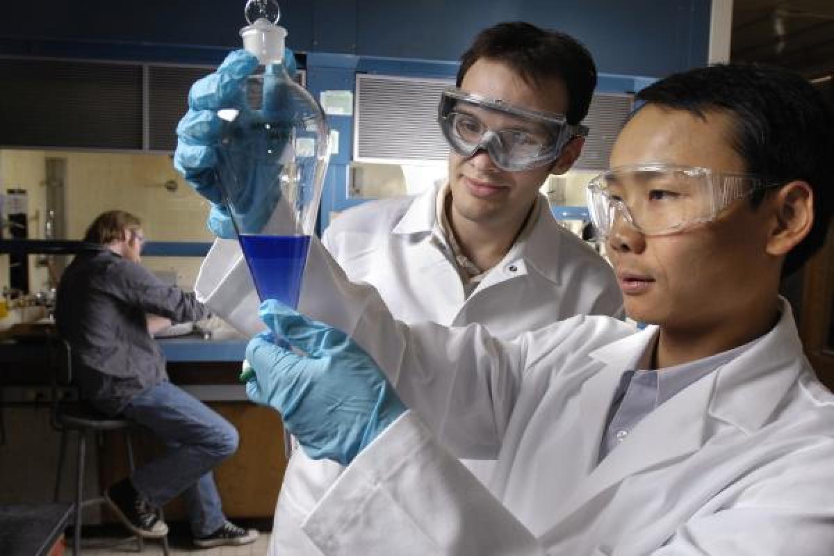 Students doing research in Yin student lab