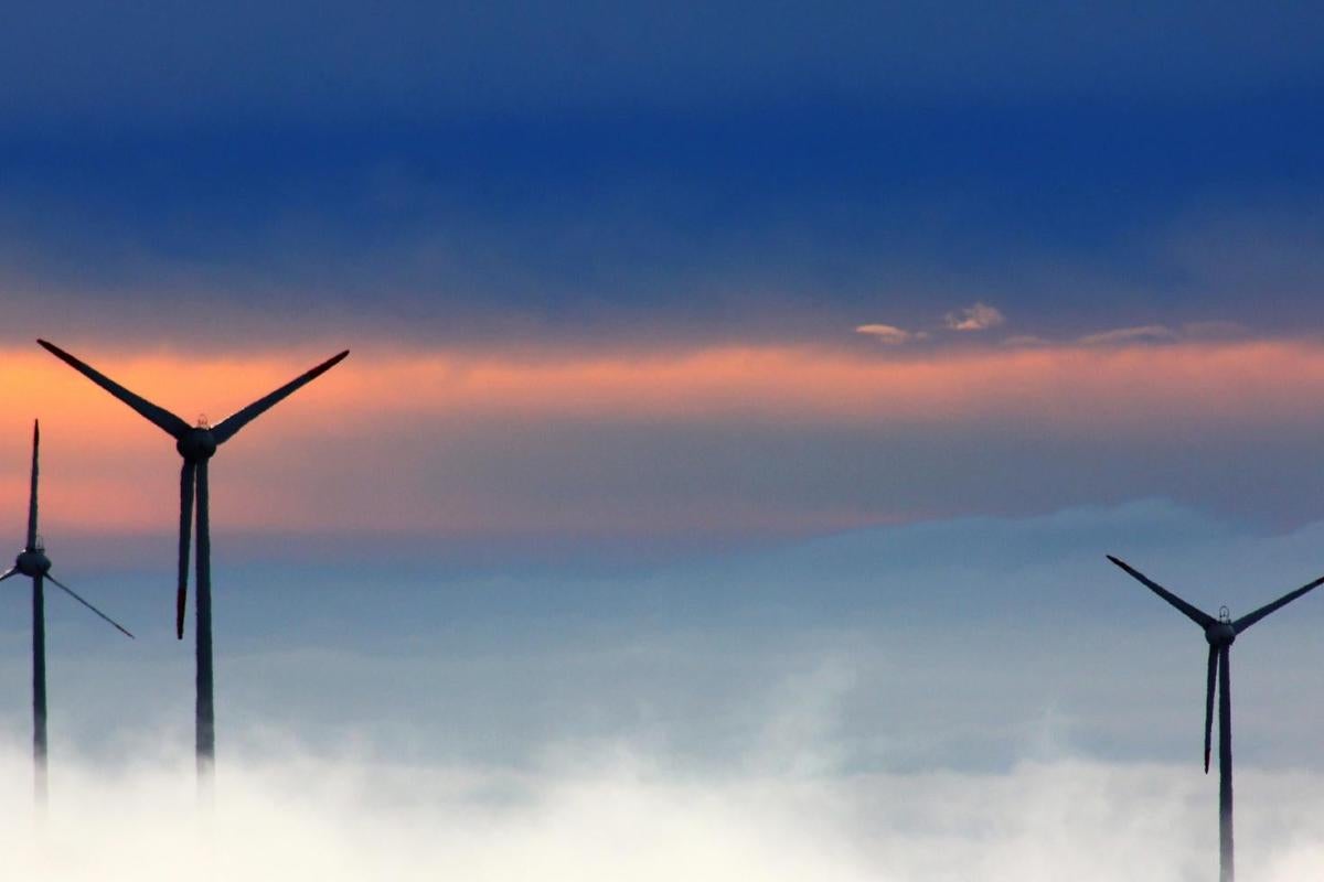 Wind power park