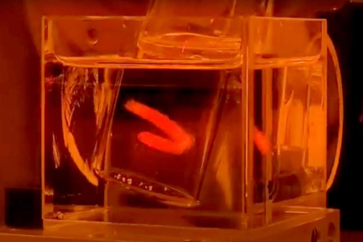 Dental aligner prototype