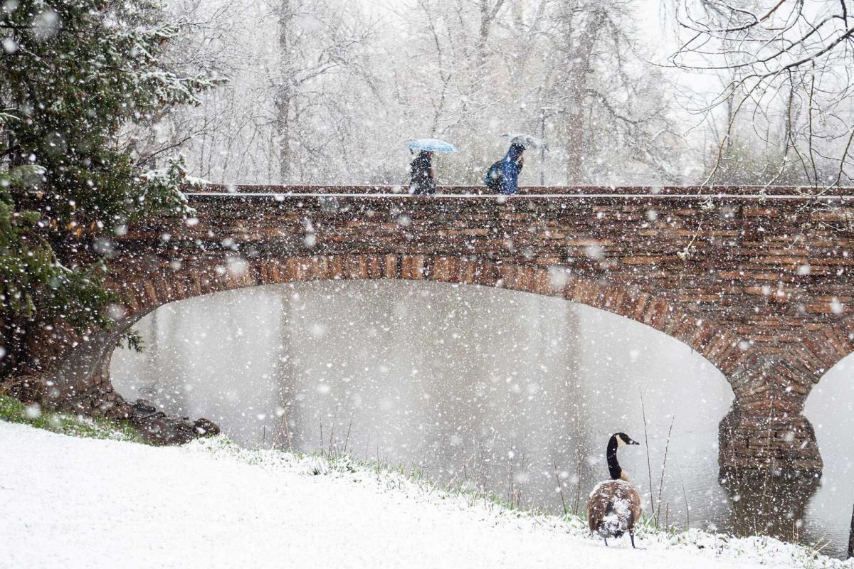 Snow falling on campus
