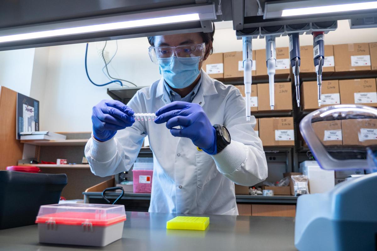Researcher with COVID test