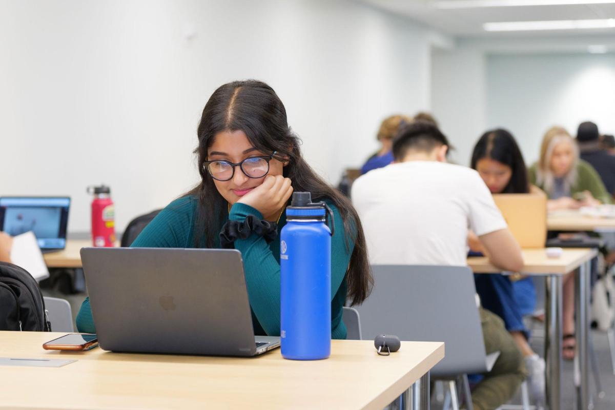 Students on laptops in study space