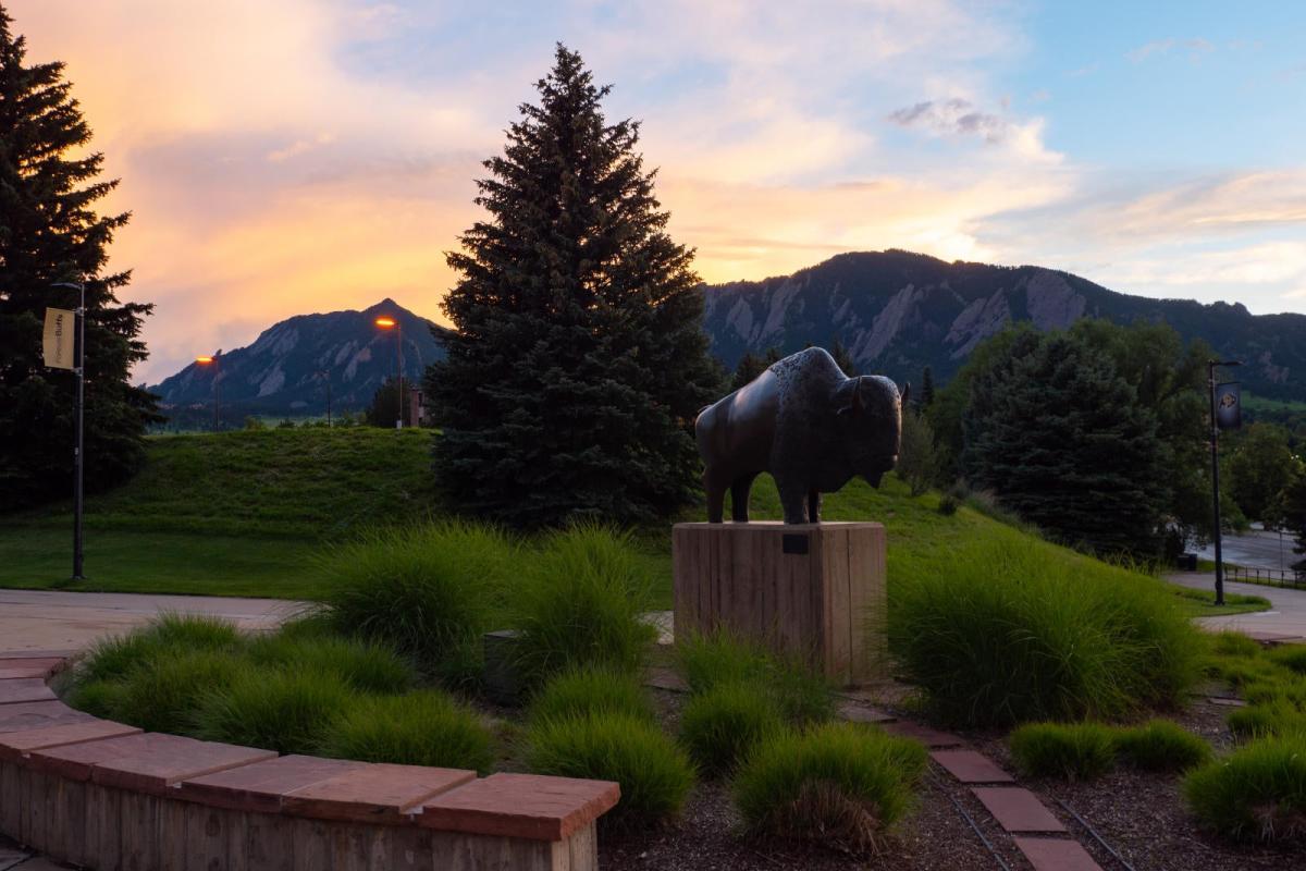 A statue of Ralphie at sunset with the Flatirons in the background