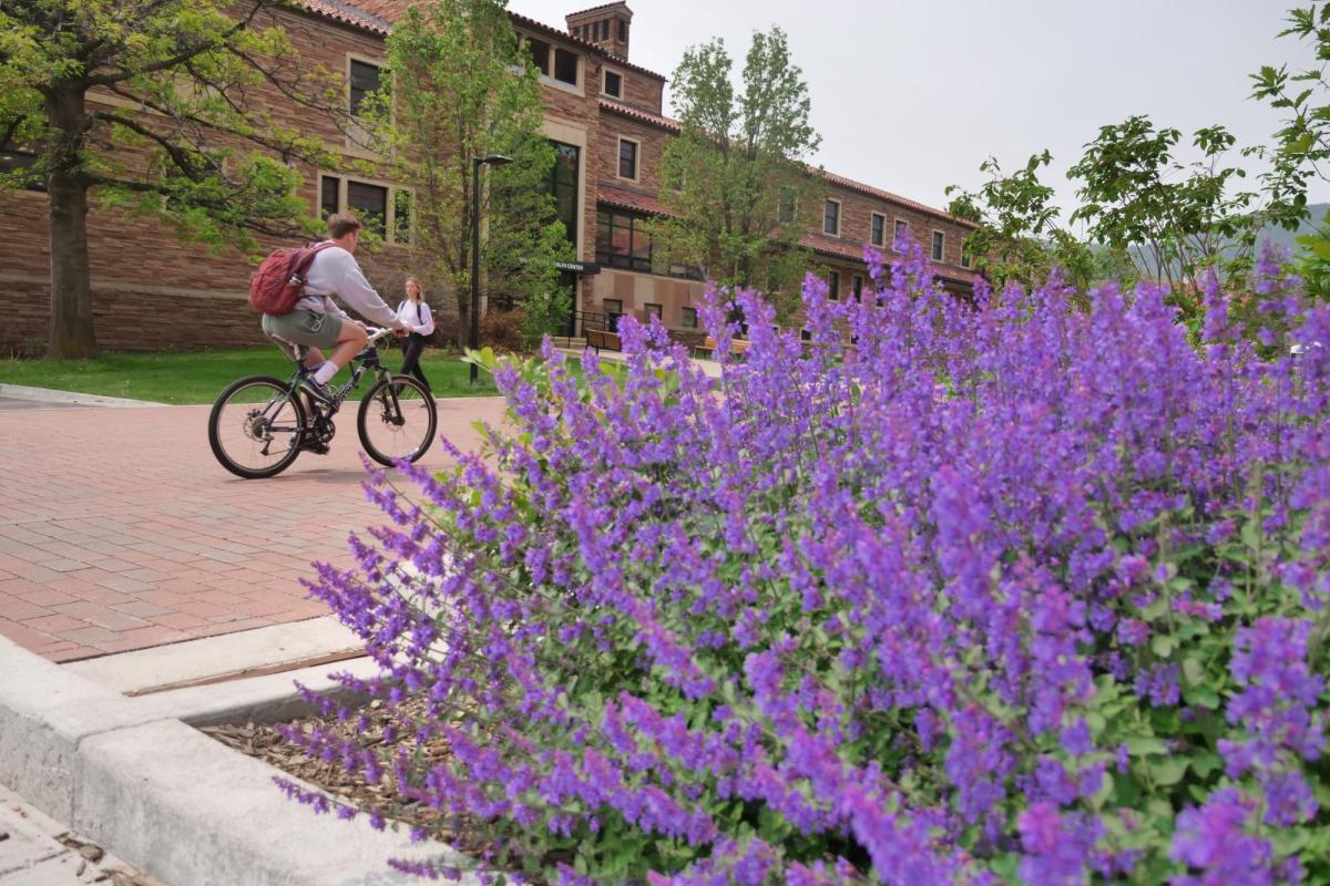 A student on a bike riding on campus with spring blooms