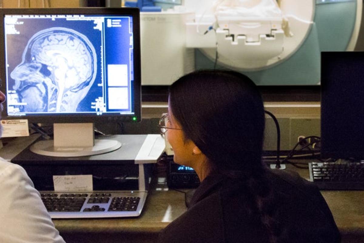 Professor and student looking at a picture of the human brain on a computer screen