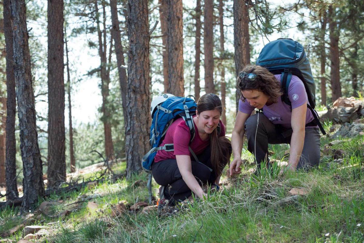 Students conducting research on forested hillside