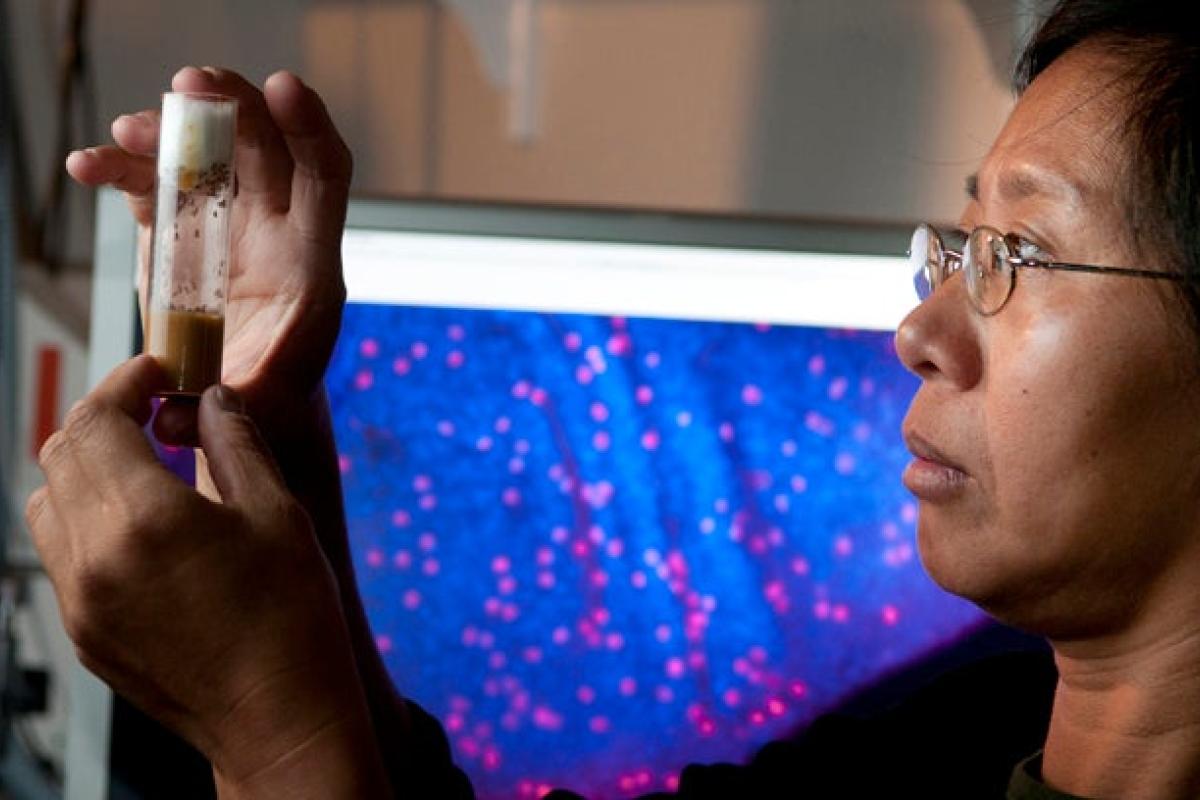 Professor looking at test tube in lab
