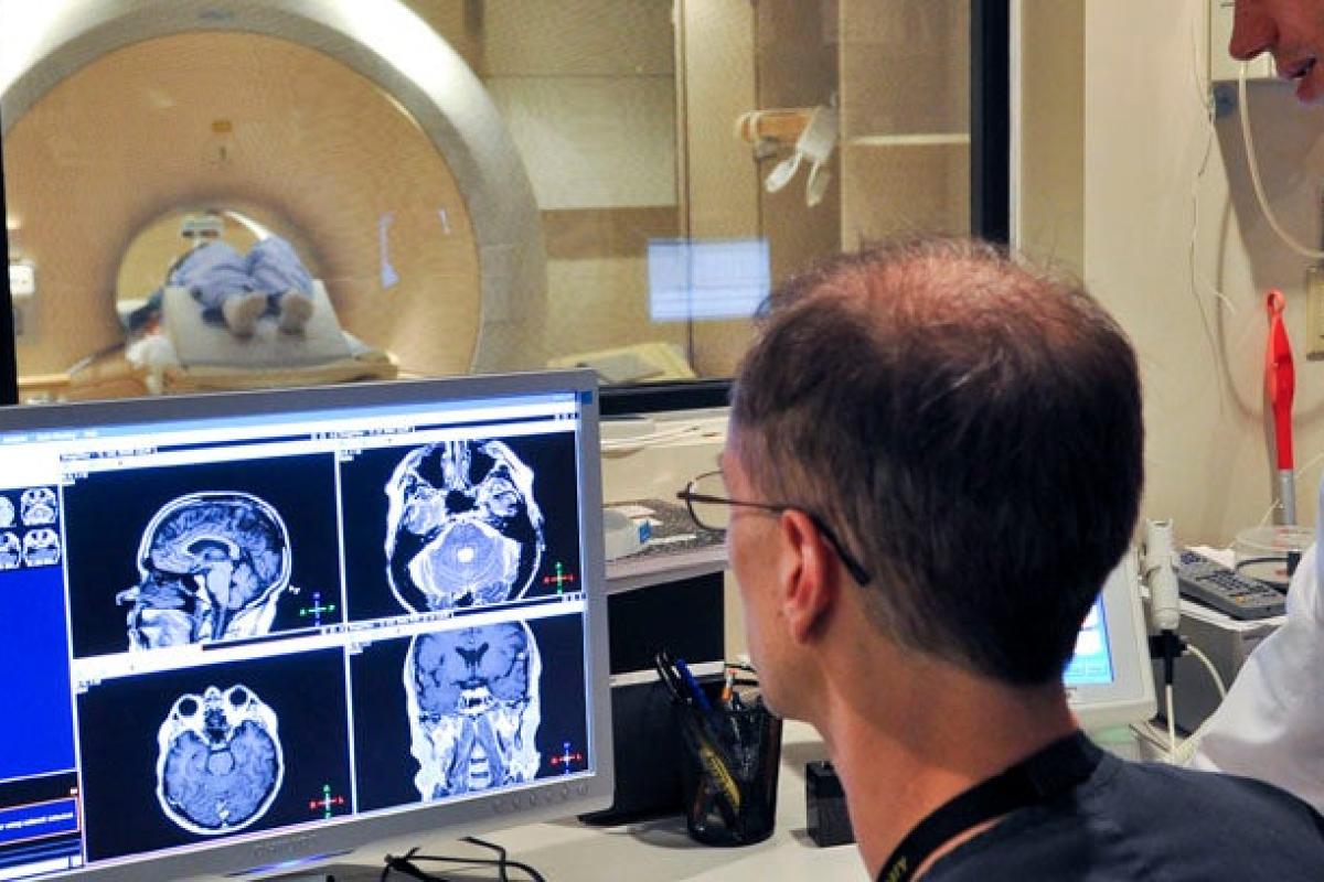 Professor looking at the human brain on a computer screen