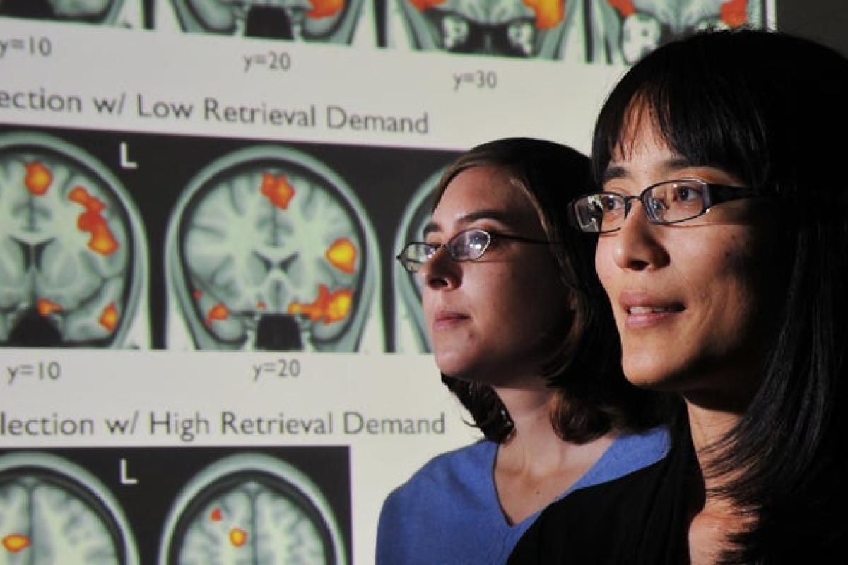 Professors next to screen showing the human brain