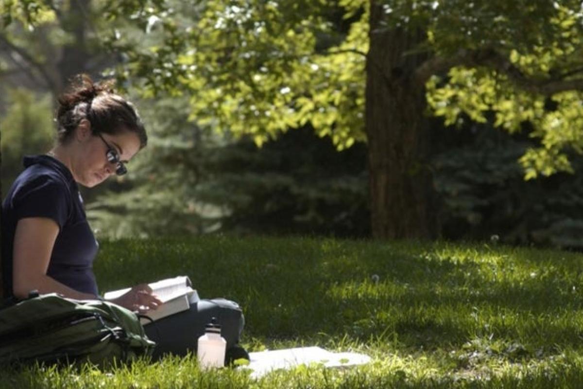 Student reading by a tree