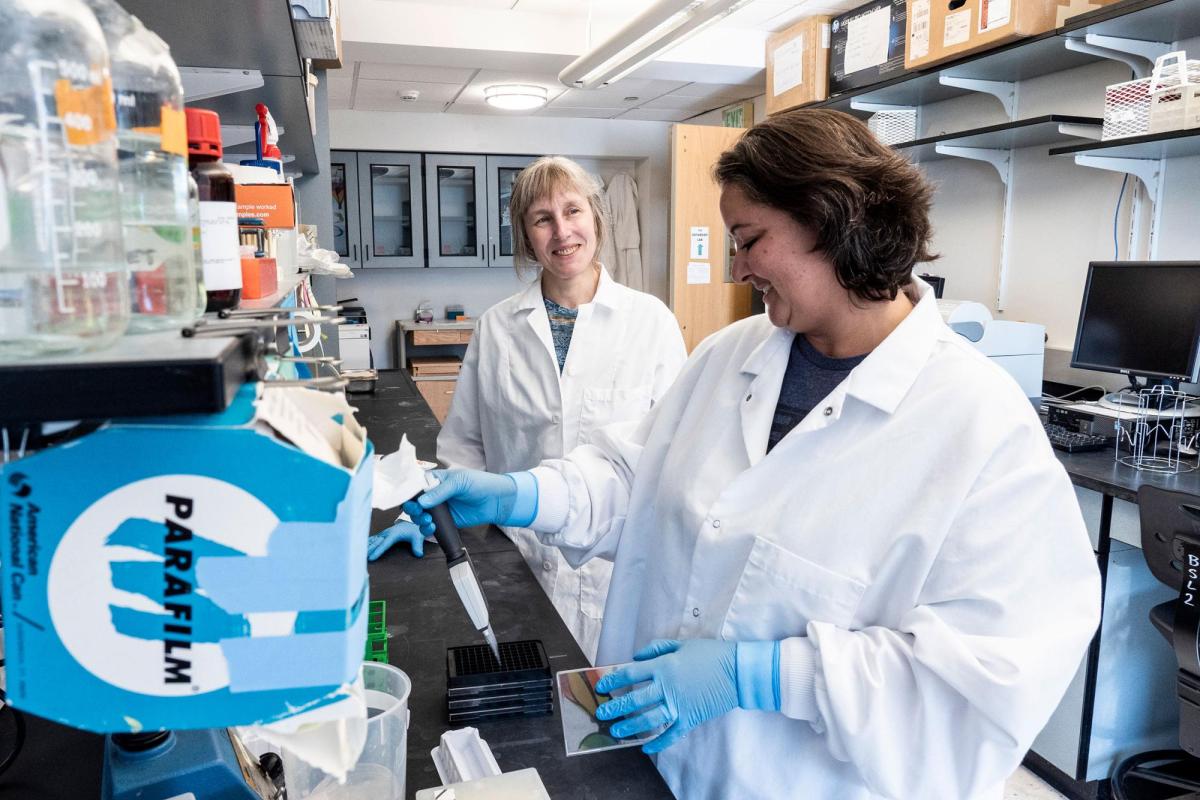 Professors in Chemical Physics lab
