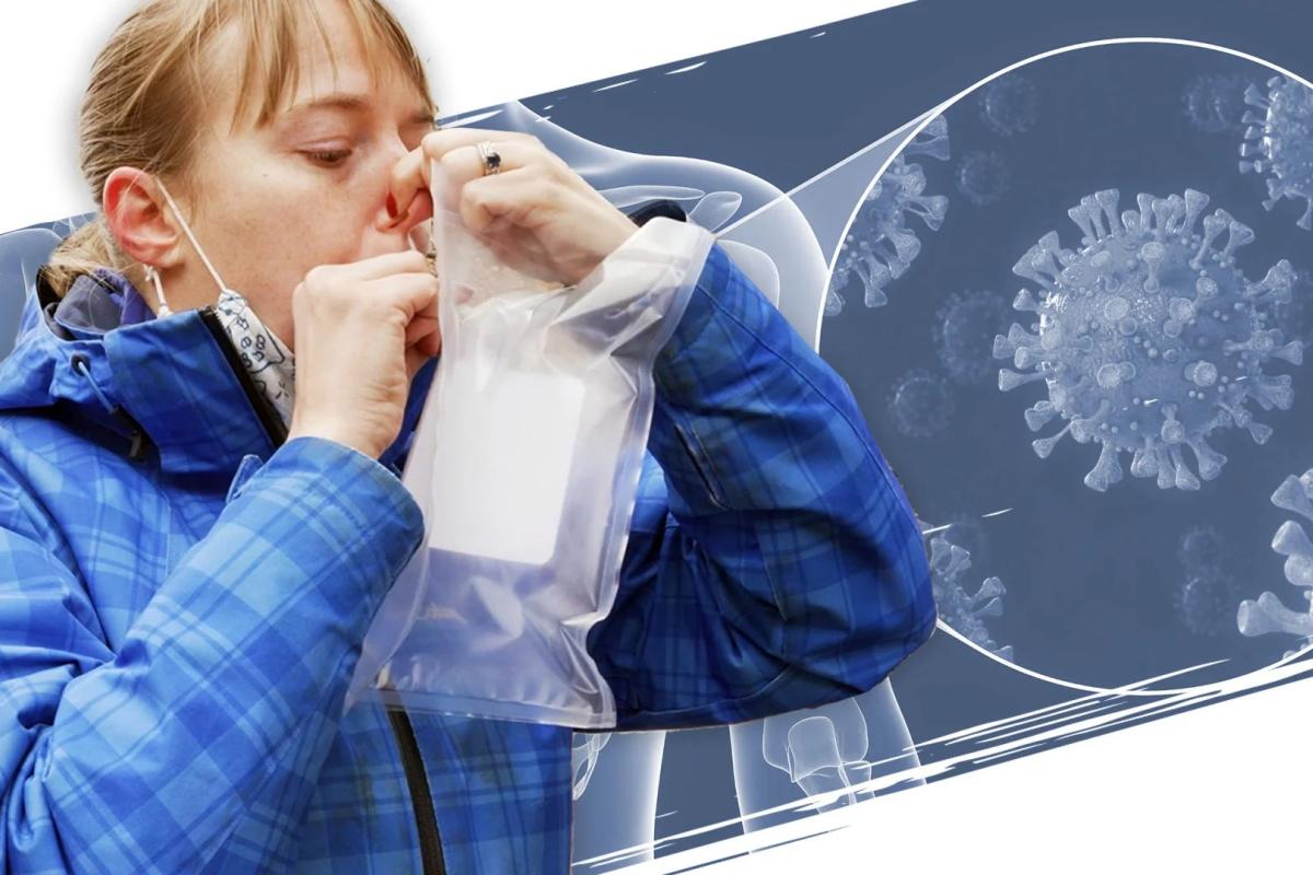 A volunteer blowing into a breathalyzer